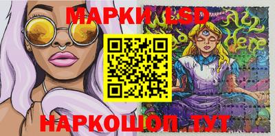 прущие грибы Кандалакша