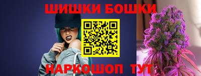 прущие грибы Кандалакша