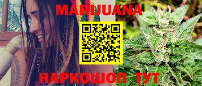 прущие грибы Кандалакша
