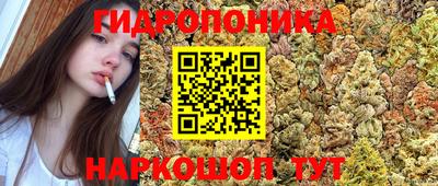 прущие грибы Кандалакша
