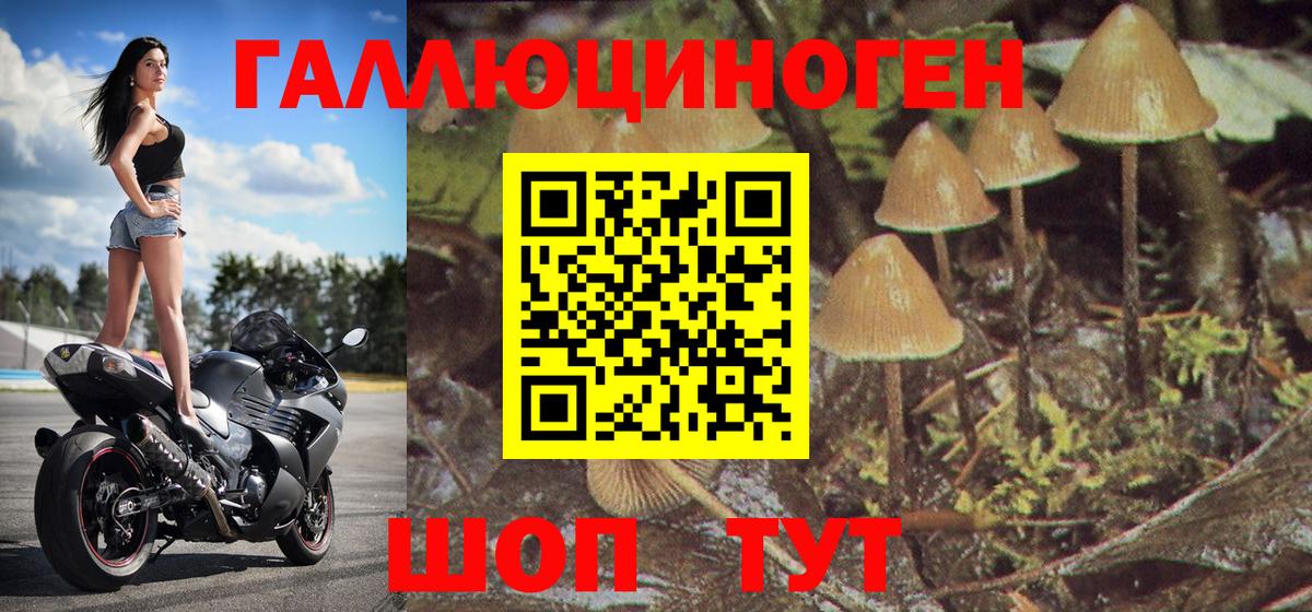 Псилоцибиновые грибы мухоморы Котельники
