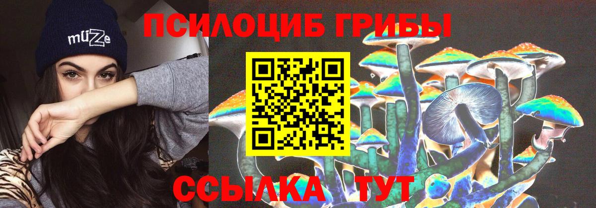 Псилоцибиновые грибы Psilocybine cubensis  Вход с VPN  даркнет сайт  Котельники  Галлюциногенные грибы ЛСД 